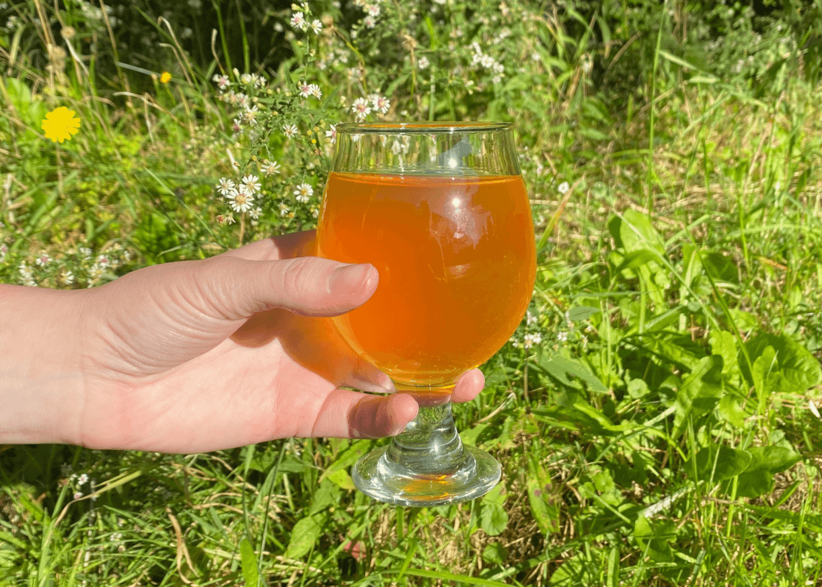 **PRESALE** Golden Apple of Discord Oak-aged Apple Mead - 2022 - Groennfell & Havoc Mead Store